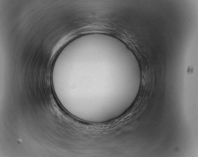 X0000111780004200907231000