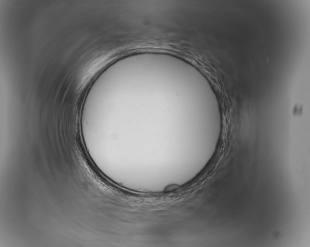 X0000111780005200907231000