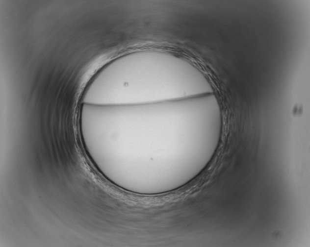 X0000111780006200907231000