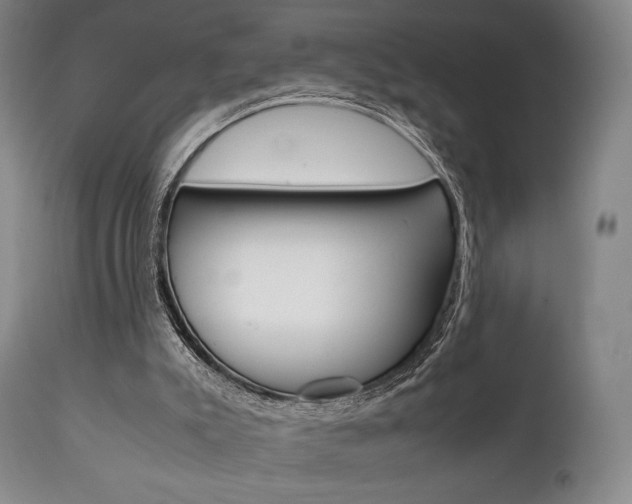 X0000111780007200907231000