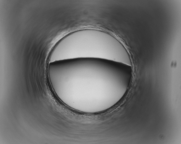 X0000111780008200907231000