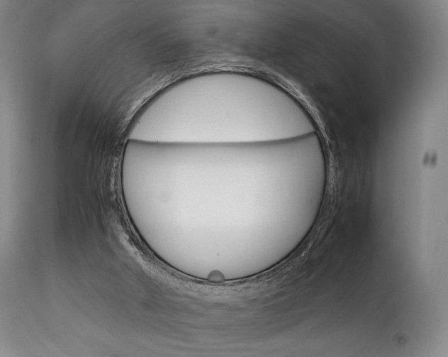 X0000111780010200907231000
