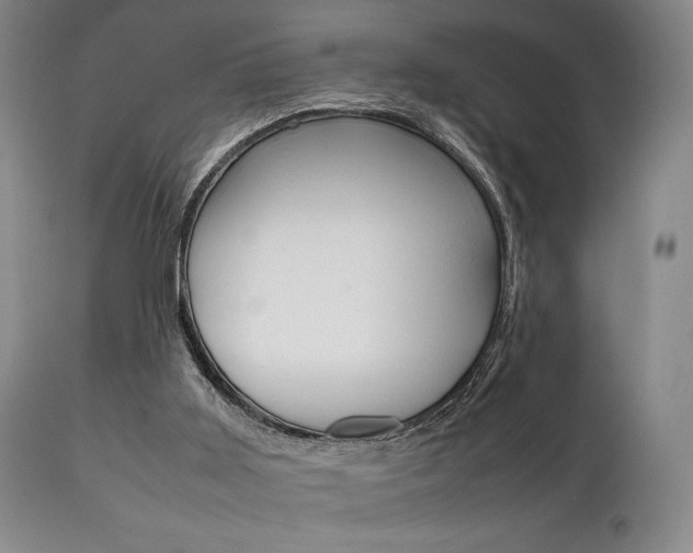 X0000111780011200907231000