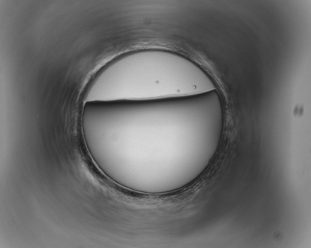 X0000111780012200907231000