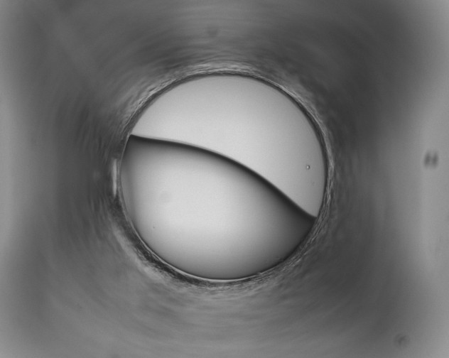 X0000111780013200907231000