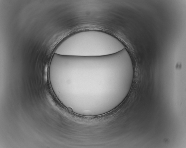 X0000111780014200907231000