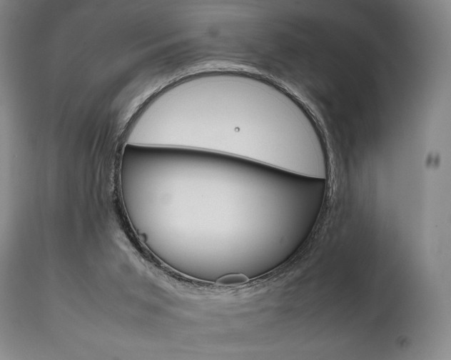X0000111780015200907231000
