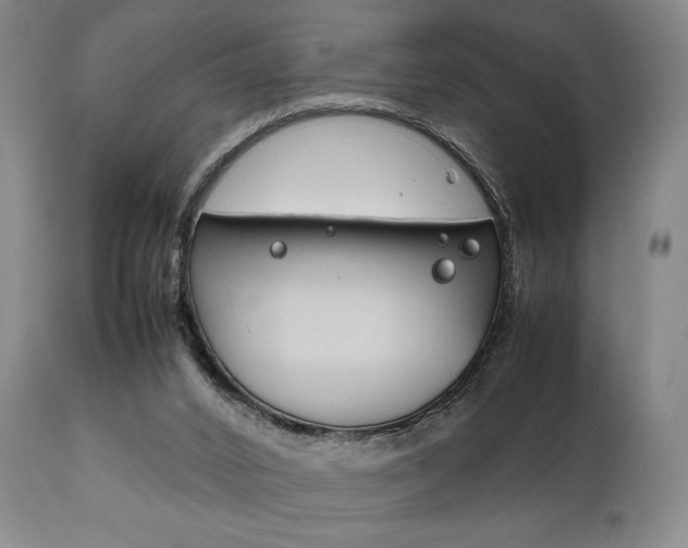 X0000111780016200907231000