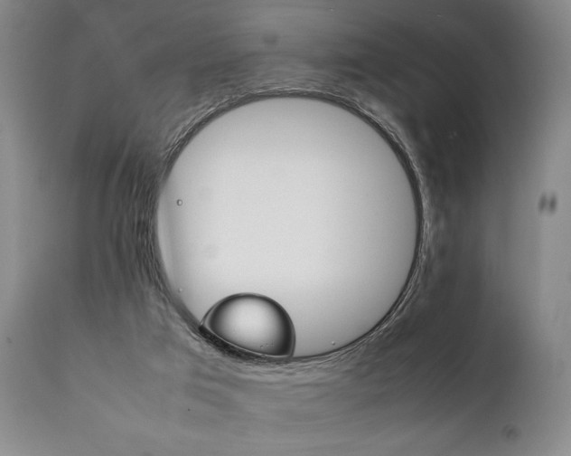 X0000111780017200907231000
