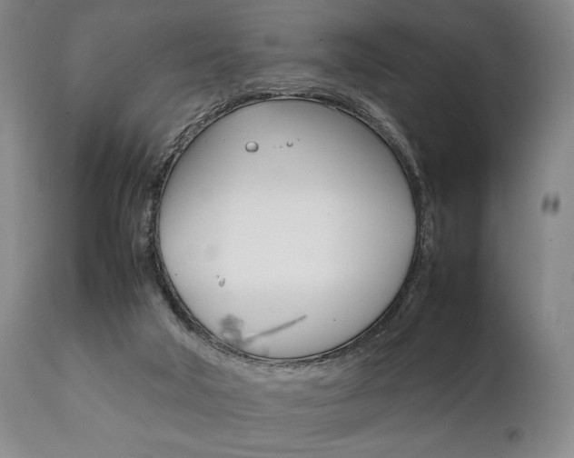 X0000111780018200907231000