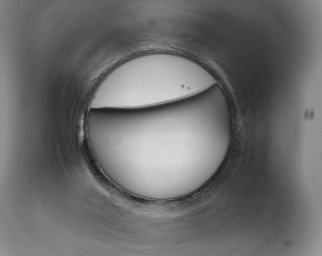 X0000111780020200907231000