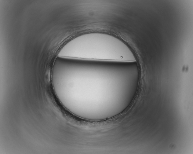 X0000111780021200907230959