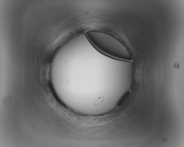 X0000111780023200907230959