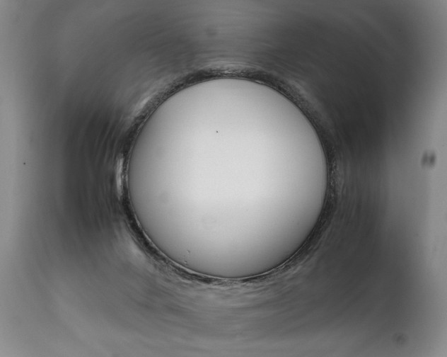X0000111780024200907230959
