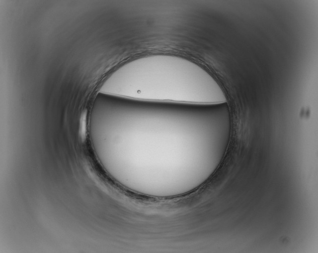 X0000111780028200907230959