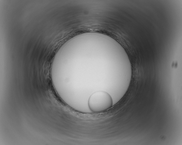 X0000111780030200907230959