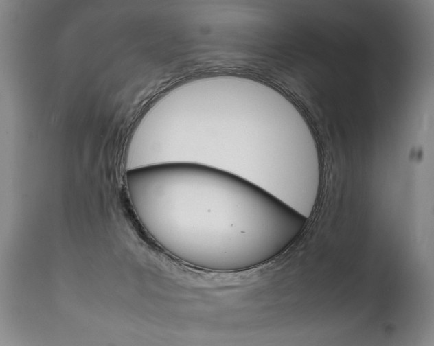 X0000111780031200907230959