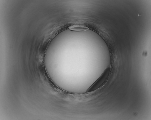 X0000111780033200907230959
