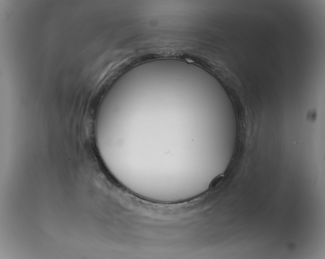 X0000111780035200907230959