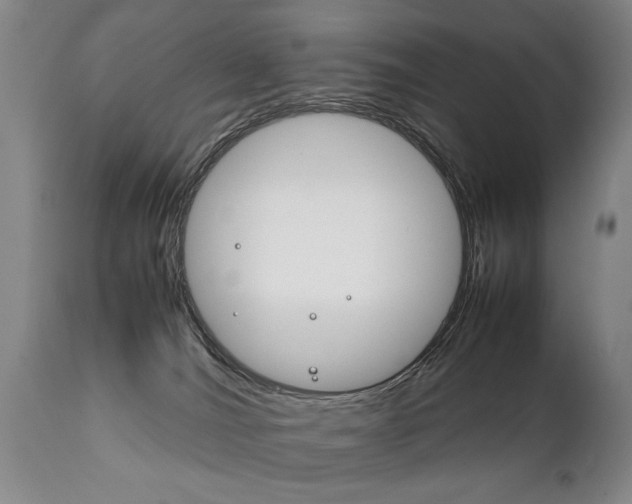 X0000111780036200907230959