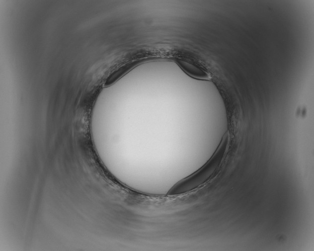 X0000111780037200907230959