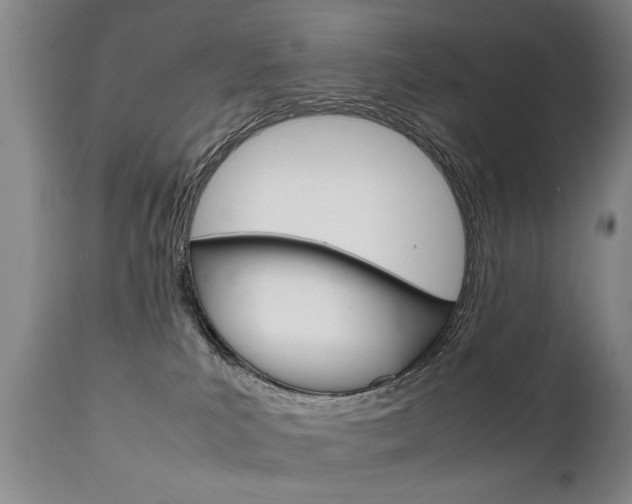 X0000111780039200907230959