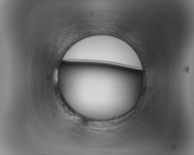 X0000111780041200907230959