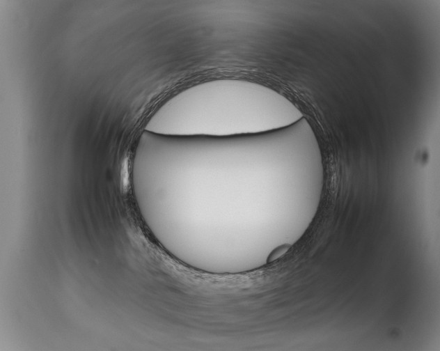 X0000111780042200907230959