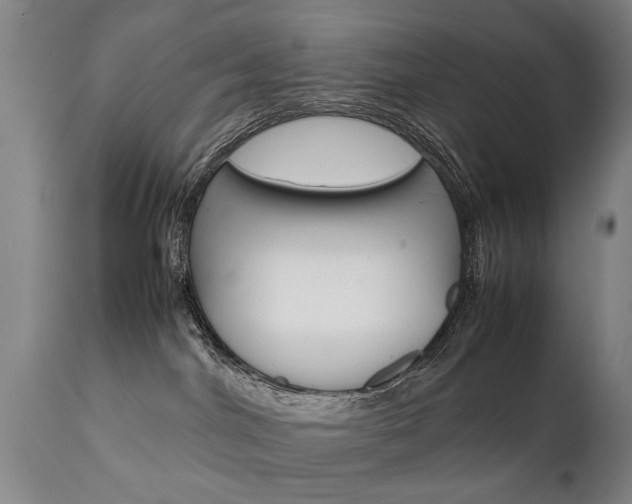 X0000111780044200907230959