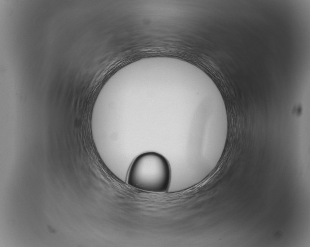 X0000111780045200907230959
