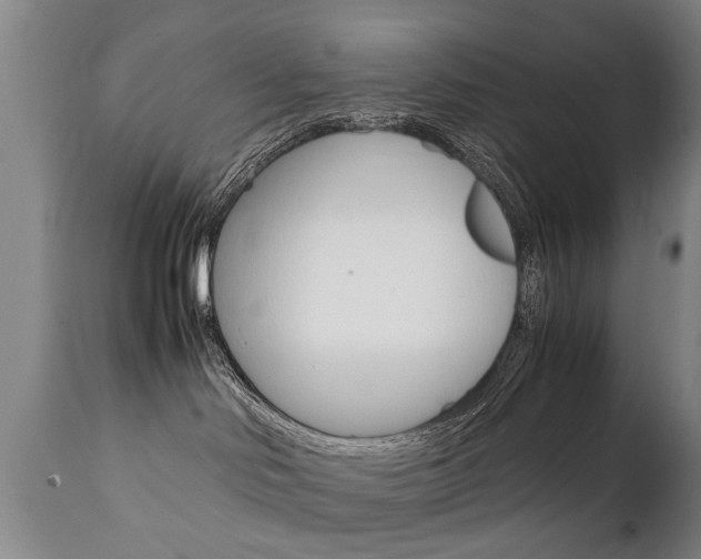 X0000111780046200907230959