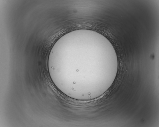 X0000111780047200907230959