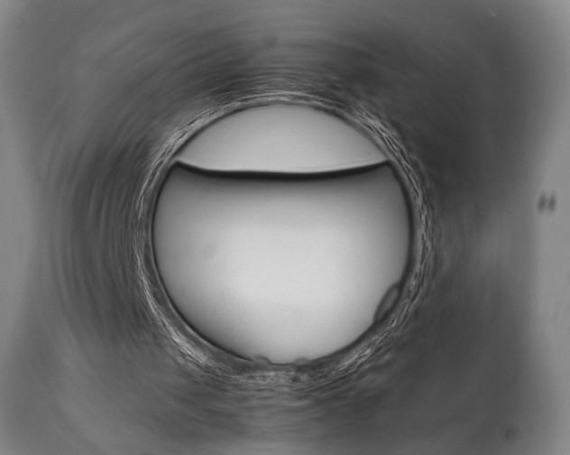 X0000111780049200907230958
