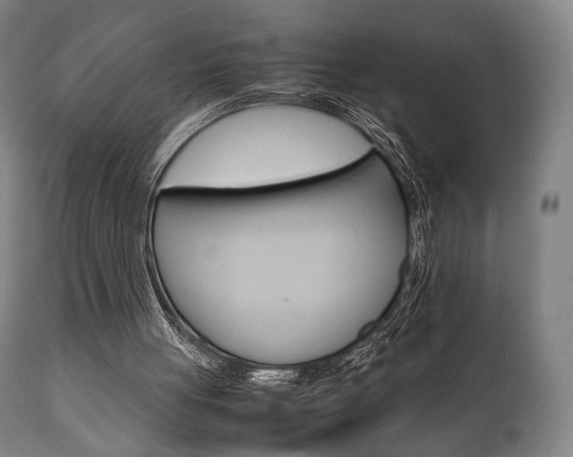 X0000111780051200907230958