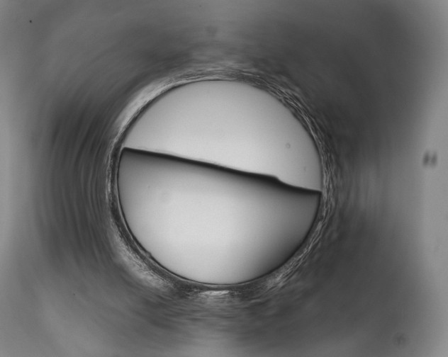 X0000111780054200907230958