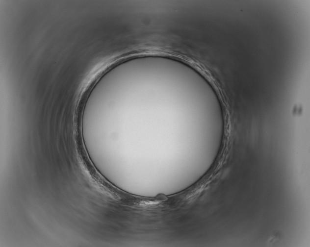 X0000111780055200907230958