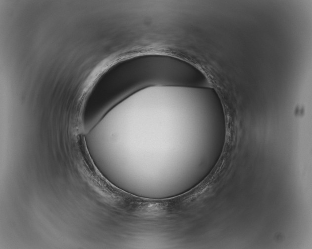 X0000111780056200907230958