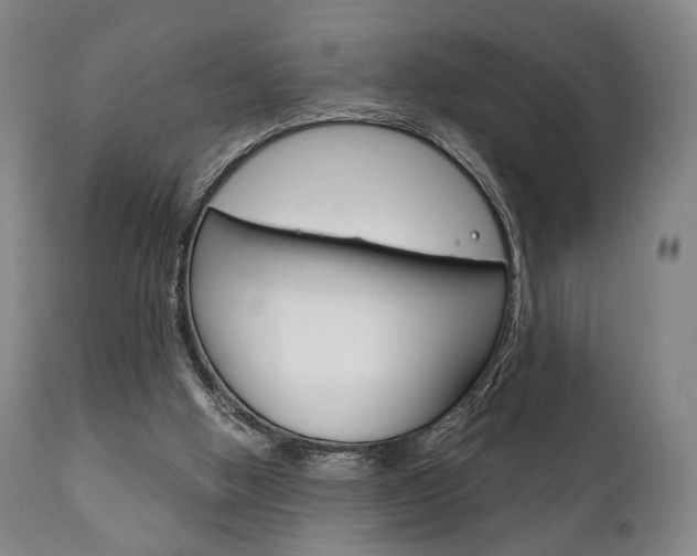 X0000111780058200907230958