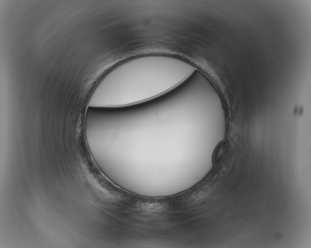 X0000111780063200907230958