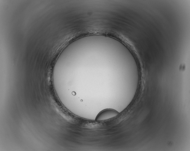 X0000111780065200907230958