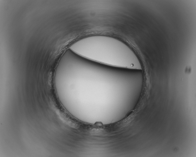X0000111780066200907230958