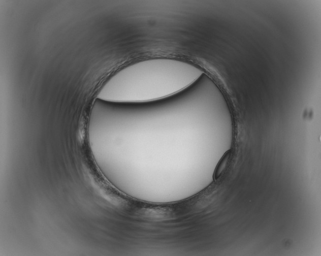 X0000111780069200907230959