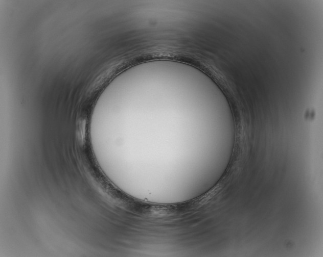 X0000111780070200907230959