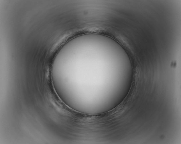 X0000111780072200907230959