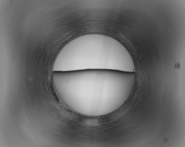 X0000111780075200907230959