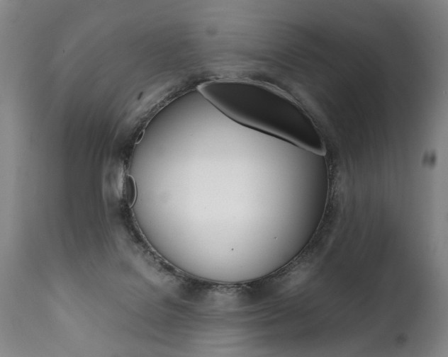 X0000111780076200907230959
