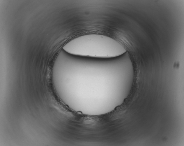 X0000111780077200907230959