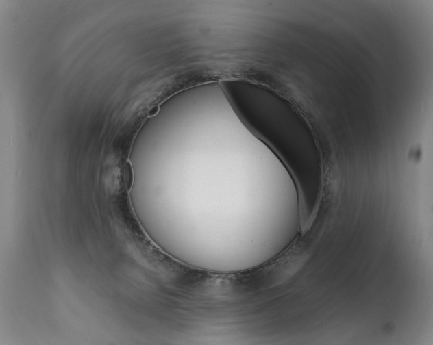 X0000111780080200907230959