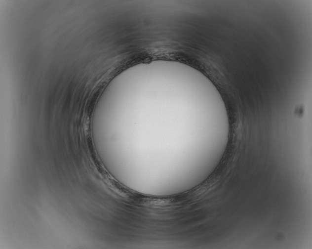 X0000111780081200907230959