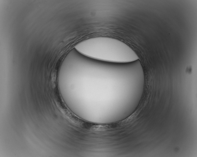 X0000111780082200907230959